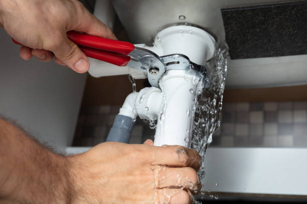 Best Flood damage cleanup  in Shadyside, OH