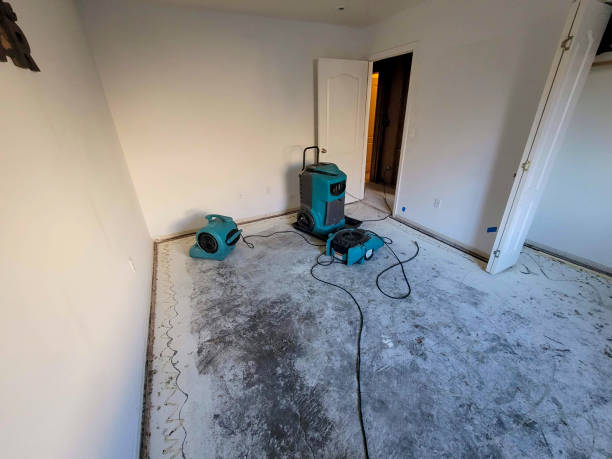 Best 24/7 water damage repair  in Shadyside, OH