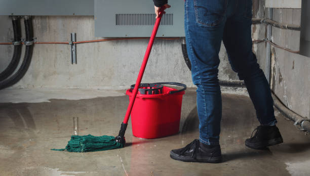 Best Basement water damage restoration  in Shadyside, OH