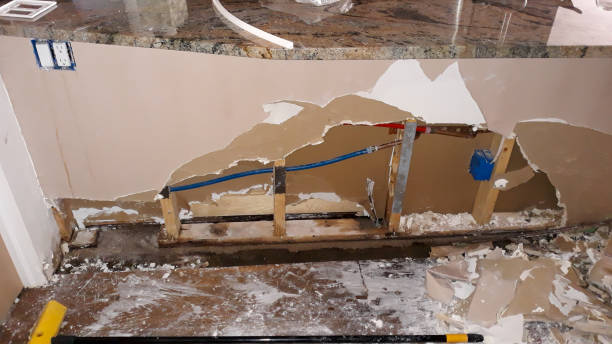 Best Water damage restoration specialists  in Shadyside, OH