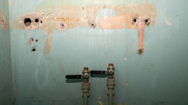 Best Water damage mitigation services  in Shadyside, OH