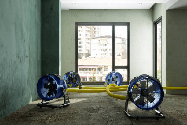 Best Water damage restoration cost  in Shadyside, OH